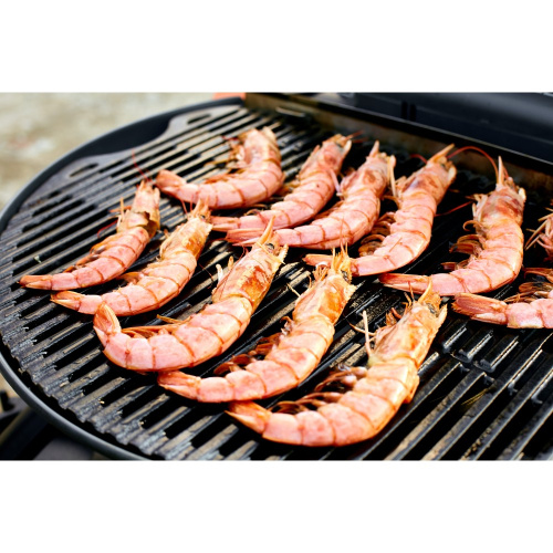 Портативный газовый гриль O-GRILL 600T, зеленый o-grill_600T_green