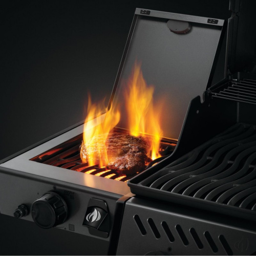 Газовый гриль Napoleon Freestyle 425 F425SIBPGT