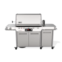 Газовий гриль Weber Summit FS38X S Smart 1500069