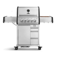 Газовый гриль Burnhard EARL 3B Stainless 945994