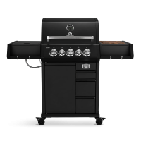 Газовий гриль Burnhard EARL 3B Black Edition Stainless 946624