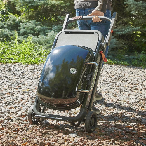 Портативный газовый гриль Weber Traveler 1501742