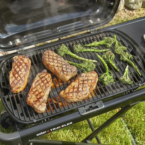 Портативный газовый гриль Weber Traveler 1501742