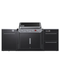Вулична барбекю кухня (острів) для гриля Genesis EPX-435 Weber BBQ Kitchen Gas 231