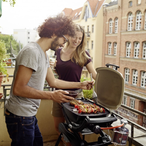 Портативный газовый гриль Weber Q 1000 50010075
